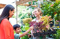  how to grow a small business